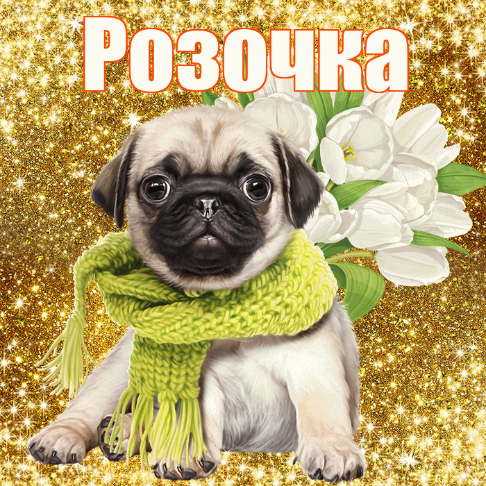 Розочка! С днём счастья! Красивая открытка !
