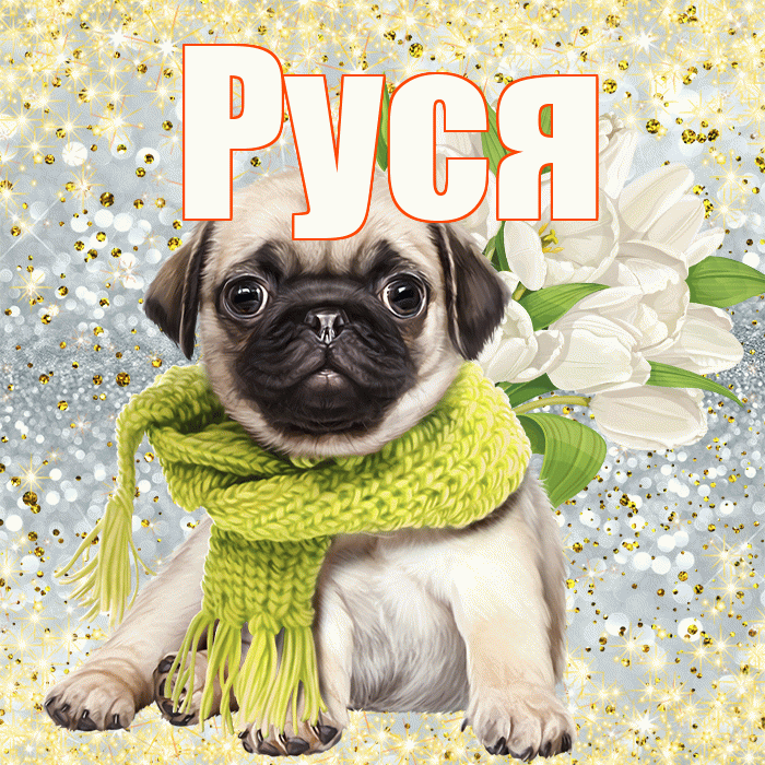 Руся! С днём счастья! Красивая открытка !