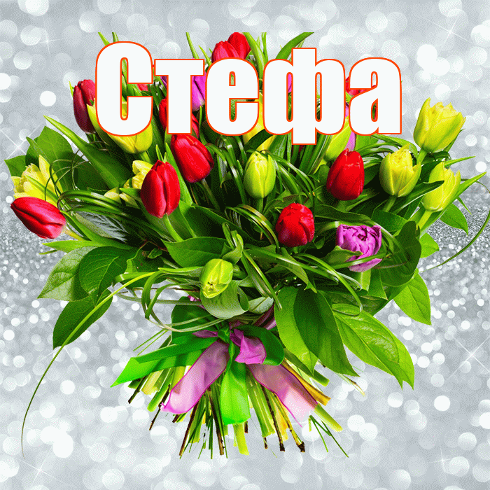 Стефа! С днём счастья! Красивая открытка !