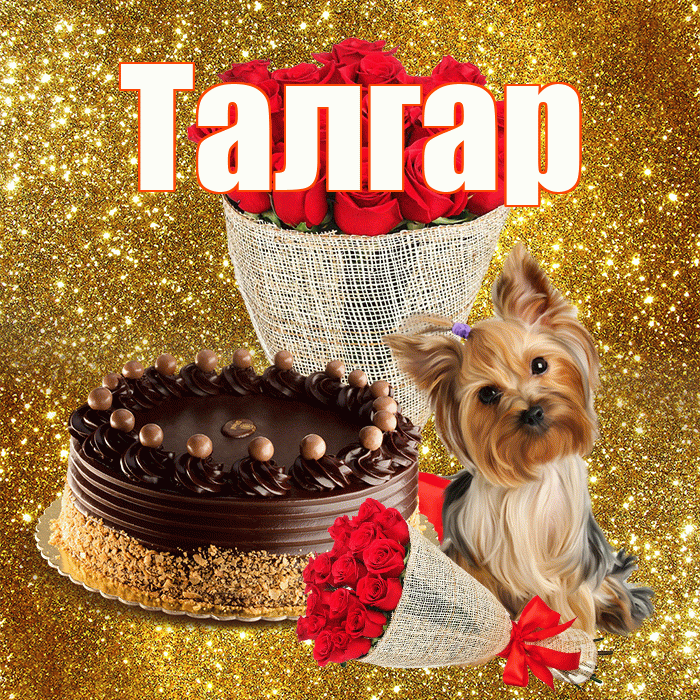 Талгар! С днём счастья! Красивая открытка Талгару!