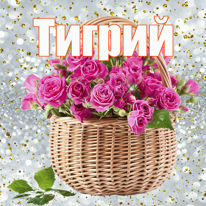 Тигрий! С днём счастья! Красивая открытка Тигрии!