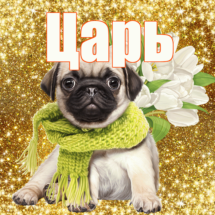 Царь! С днём счастья! Красивая открытка Царю!