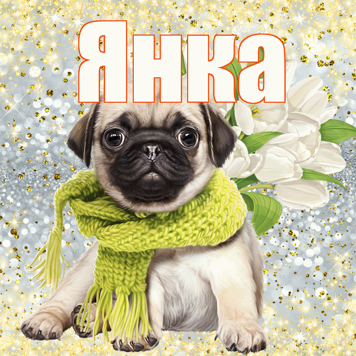 Янка! С днём счастья! Красивая открытка Янке!