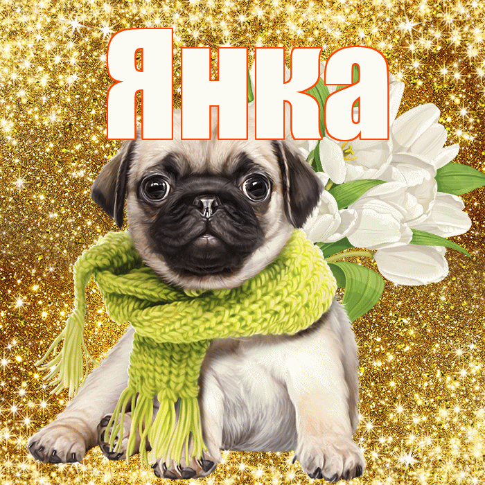 Янка! С днём счастья! Красивая открытка Янке!