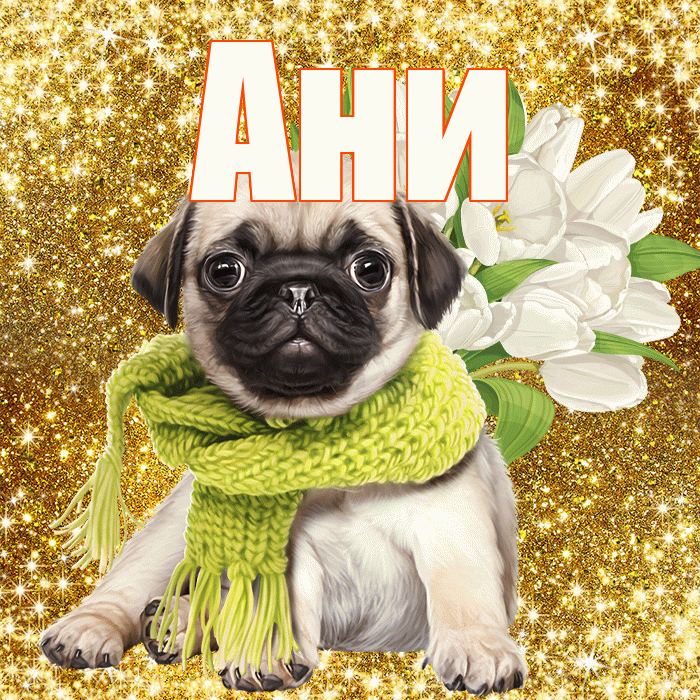 Ани! С днём учителя! Красивая открытка !