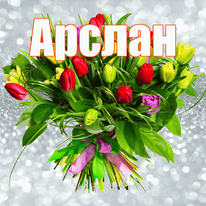 Арслан! С днём учителя! Красивая открытка Арслану!