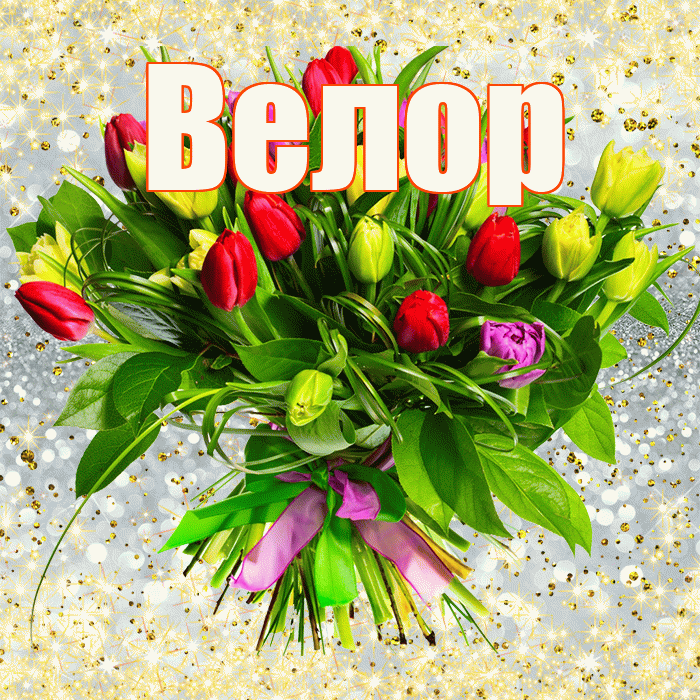 Велор! С днём учителя! Красивая открытка Велоре!