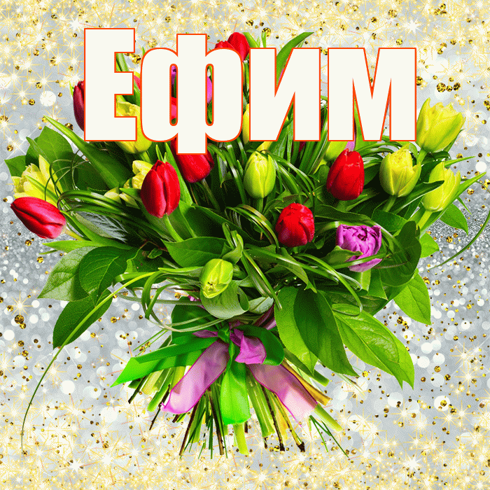 Ефим! С днём учителя! Красивая открытка Ефиму!