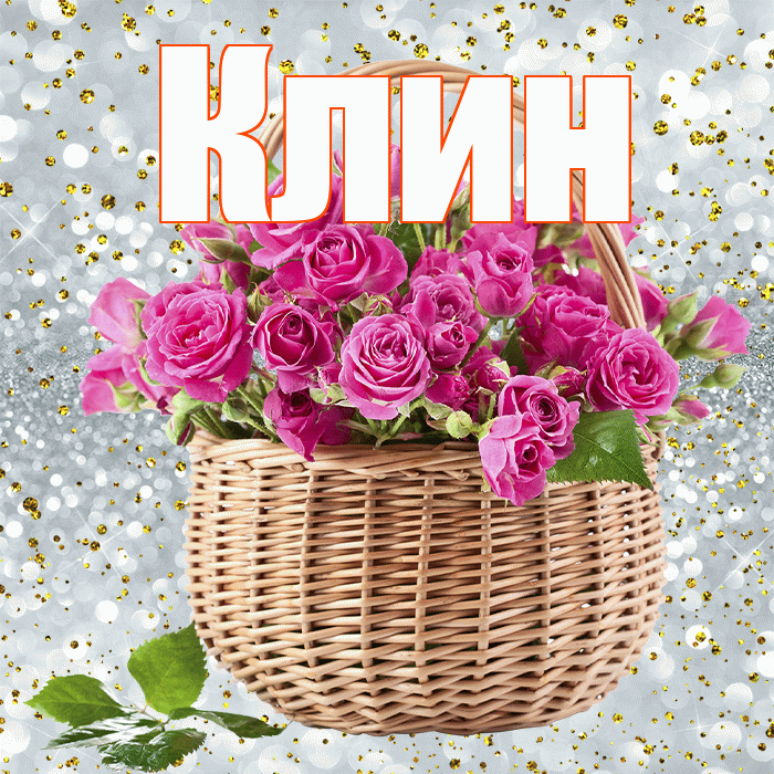 Клин! С днём учителя! Красивая открытка Клину!