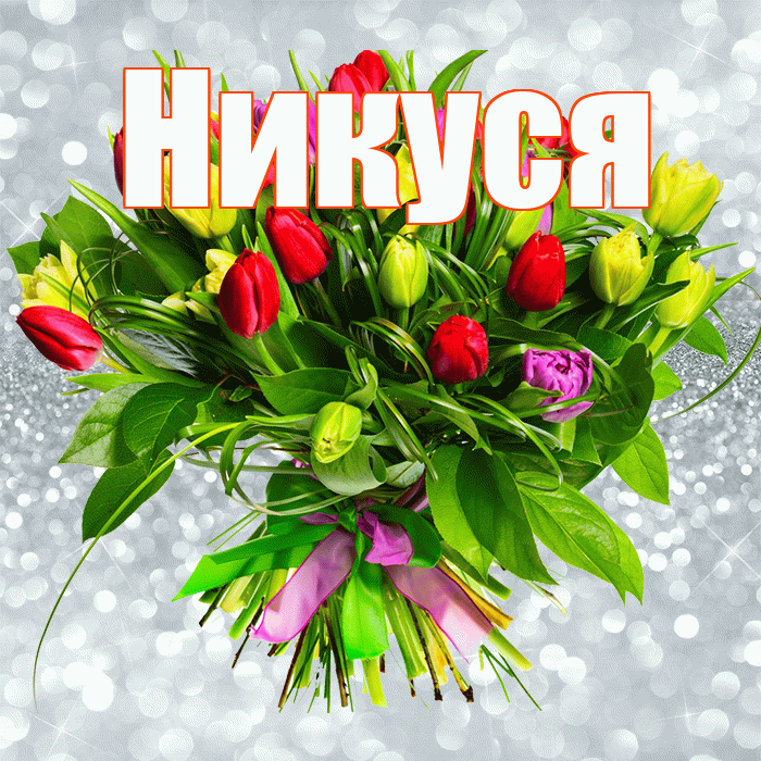 Никуся! С днём учителя! Красивая открытка !