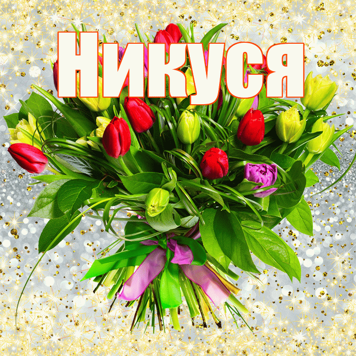 Никуся! С днём учителя! Красивая открытка !