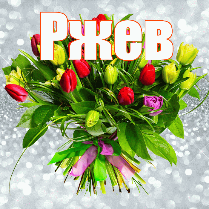 Ржев! С днём учителя! Красивая открытка Ржеву!