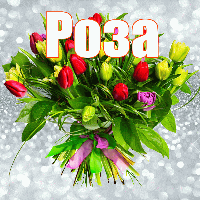Роза! С днём учителя! Красивая открытка Розе!