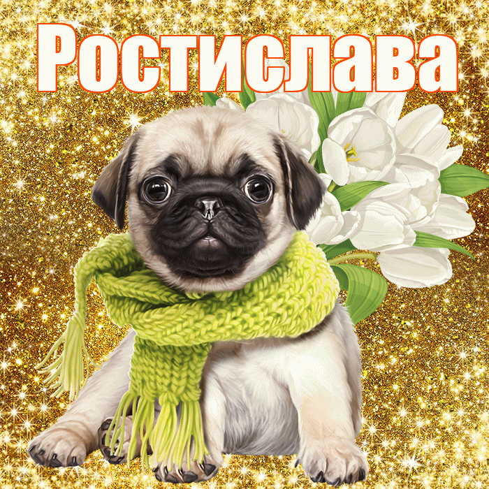 Ростислава! С днём учителя! Красивая открытка Ростиславовне!