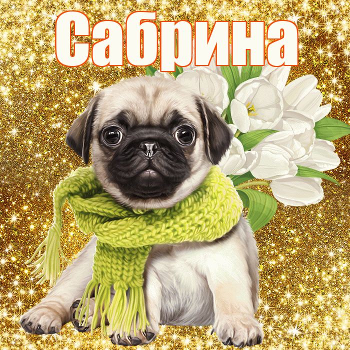Сабрина! С днём учителя! Красивая открытка Сабрине!