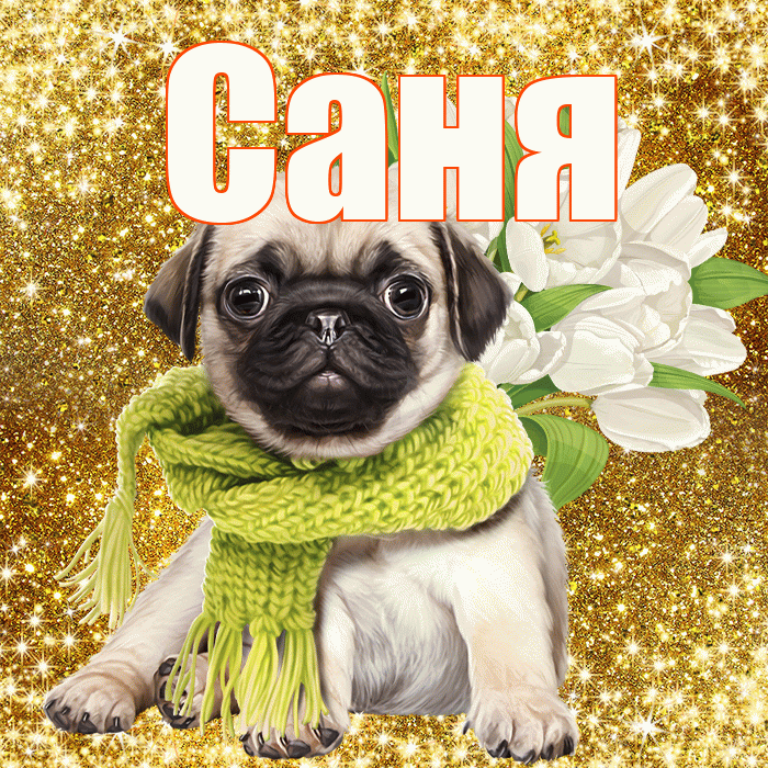 Саня! С днём учителя! Красивая открытка !