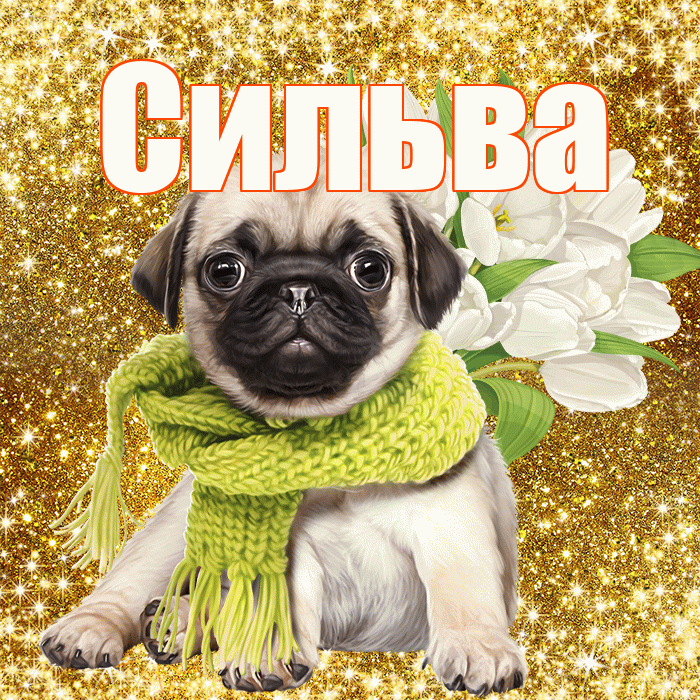 Сильва! С днём учителя! Красивая открытка Сильве!
