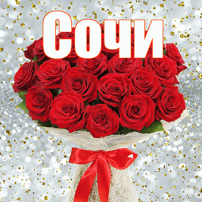 Сочи! С днём учителя! Красивая открытка Сочи!