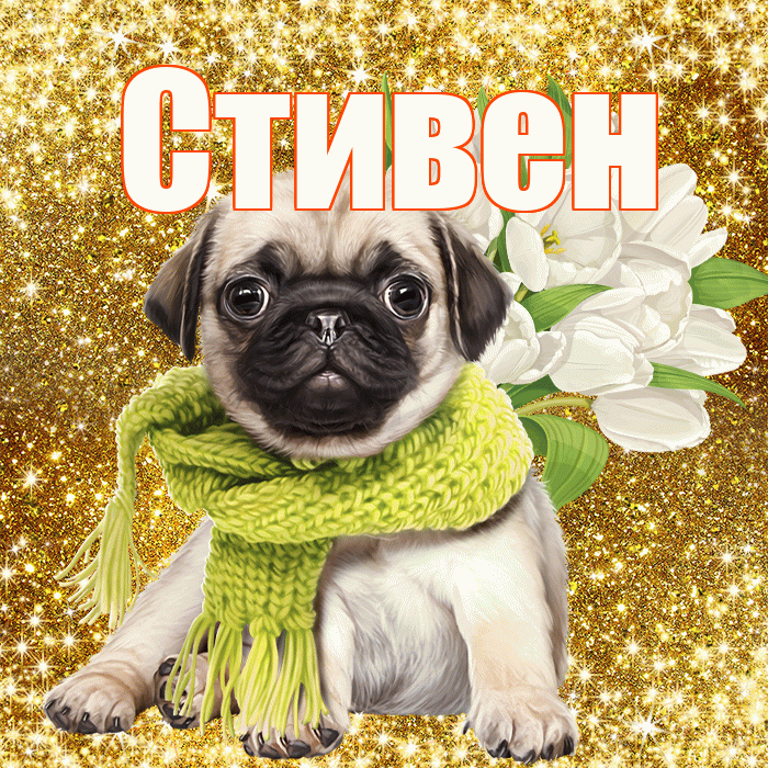Стивен! С днём учителя! Красивая открытка Стивену!