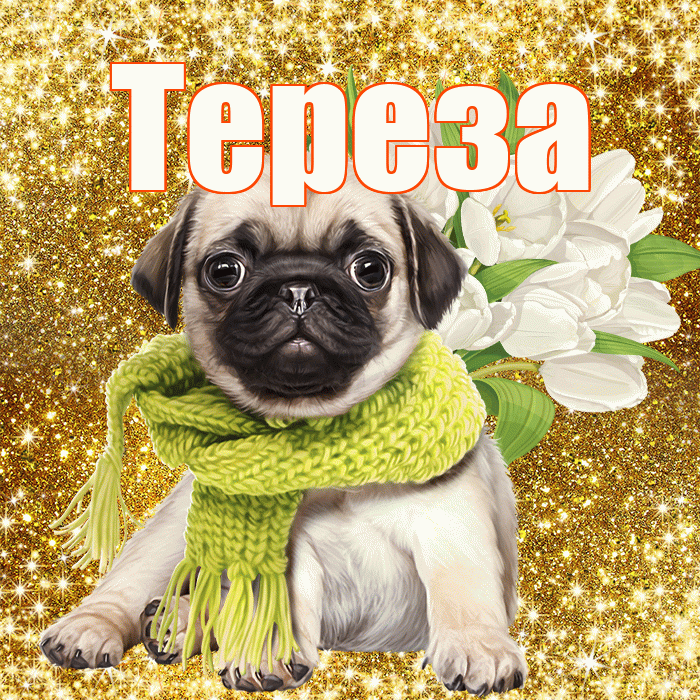 Тереза! С днём учителя! Красивая открытка Терезе!