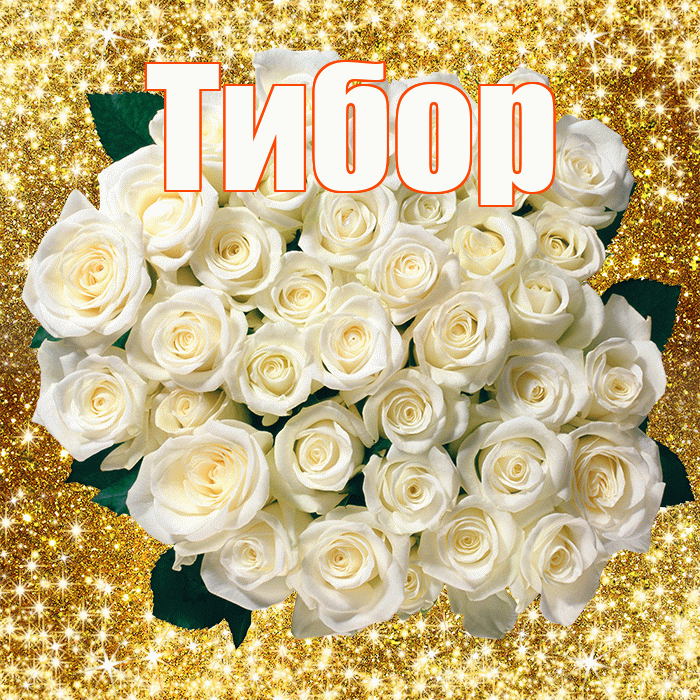 Тибор! С днём учителя! Красивая открытка Тибору!