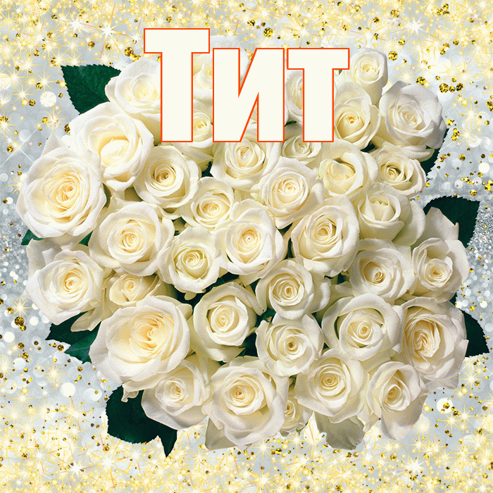 Тит! С днём учителя! Красивая открытка Титу!