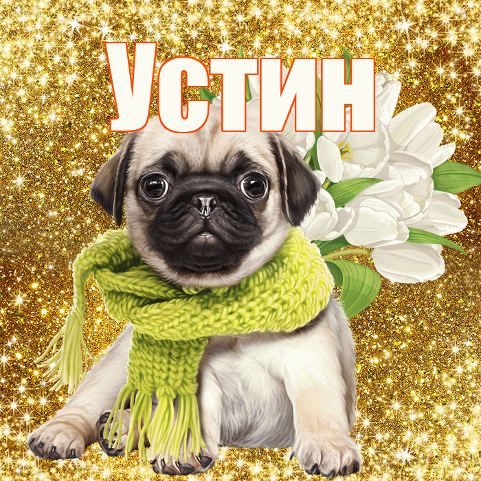 Устин! С днём учителя! Красивая открытка Устину!