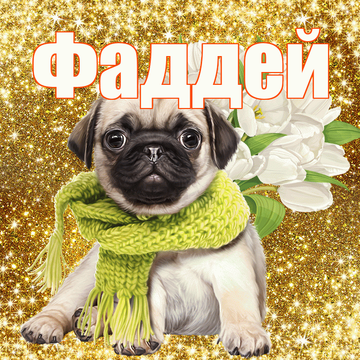 Фаддей! С днём учителя! Красивая открытка Фаддею!