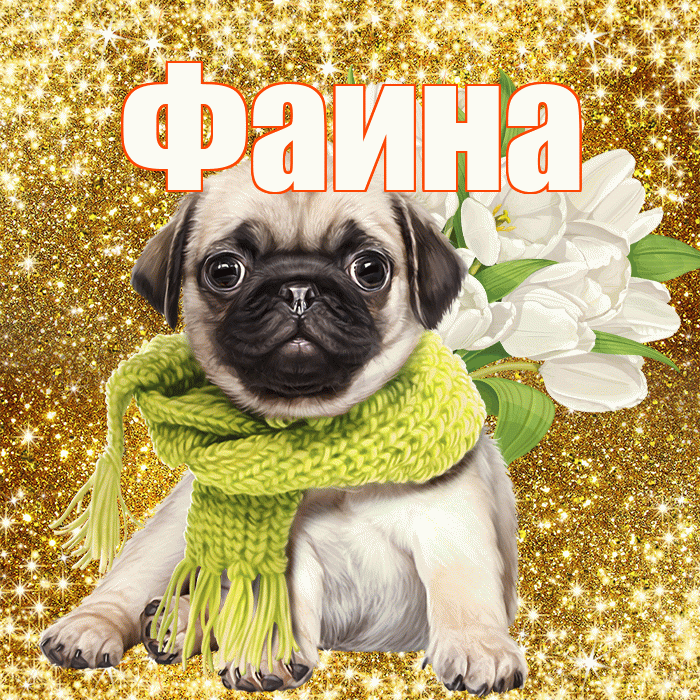Фаина! С днём учителя! Красивая открытка Фаине!