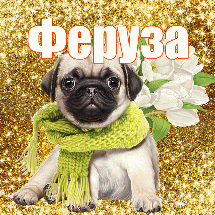 Феруза! С днём учителя! Красивая открытка Ферузу!