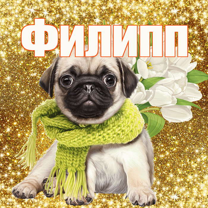 Филипп! С днём учителя! Красивая открытка Филиппу!