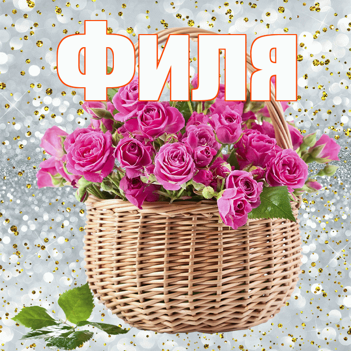Филя! С днём учителя! Красивая открытка Филе!