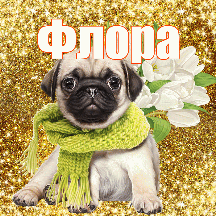 Флора! С днём учителя! Красивая открытка Флоровне!