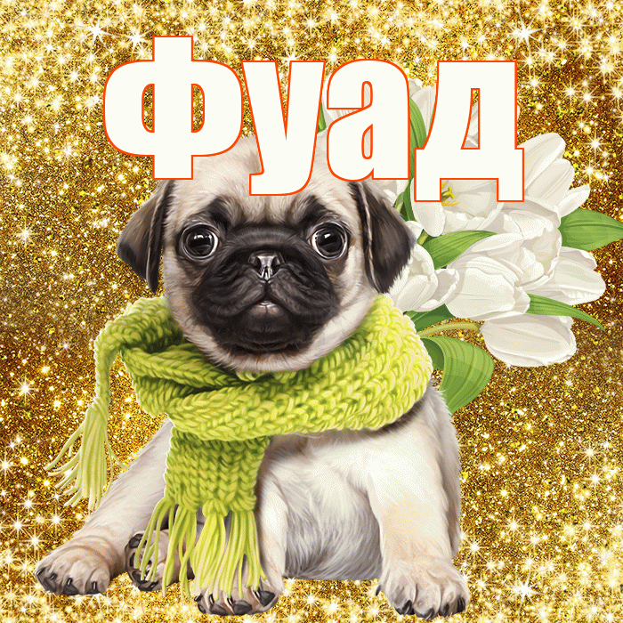 Фуад! С днём учителя! Красивая открытка Фуаду!