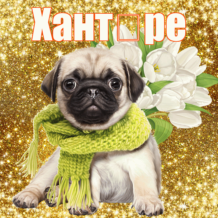 Хант ре! С днём учителя! Красивая открытка !