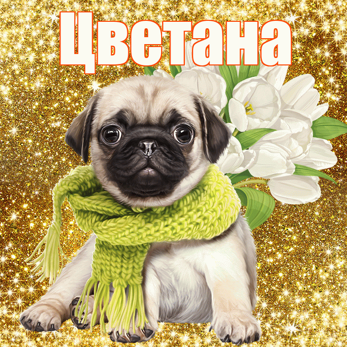 Цветана! С днём учителя! Красивая открытка Цветане!