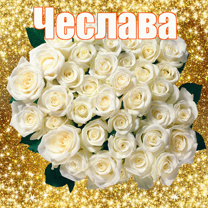 Чеслава! С днём учителя! Красивая открытка Чеславовне!