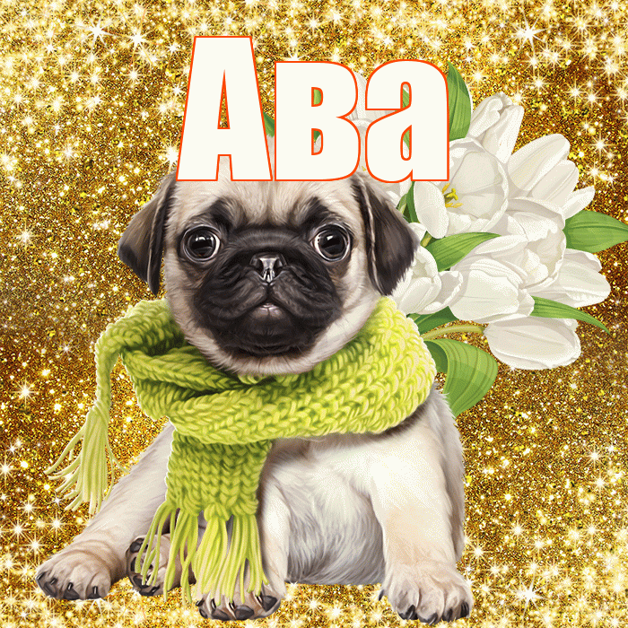 Ава! С днём цветов! Красивая открытка Аве!