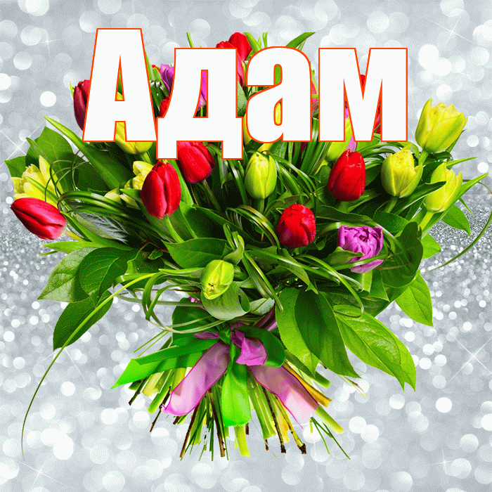 Адам! С днём цветов! Красивая открытка Адаму!