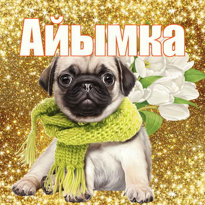 Айымка! С днём цветов! Красивая открытка !