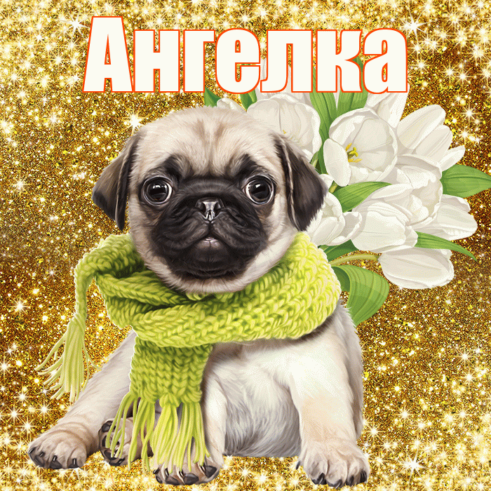 Ангелка! С днём цветов! Красивая открытка !