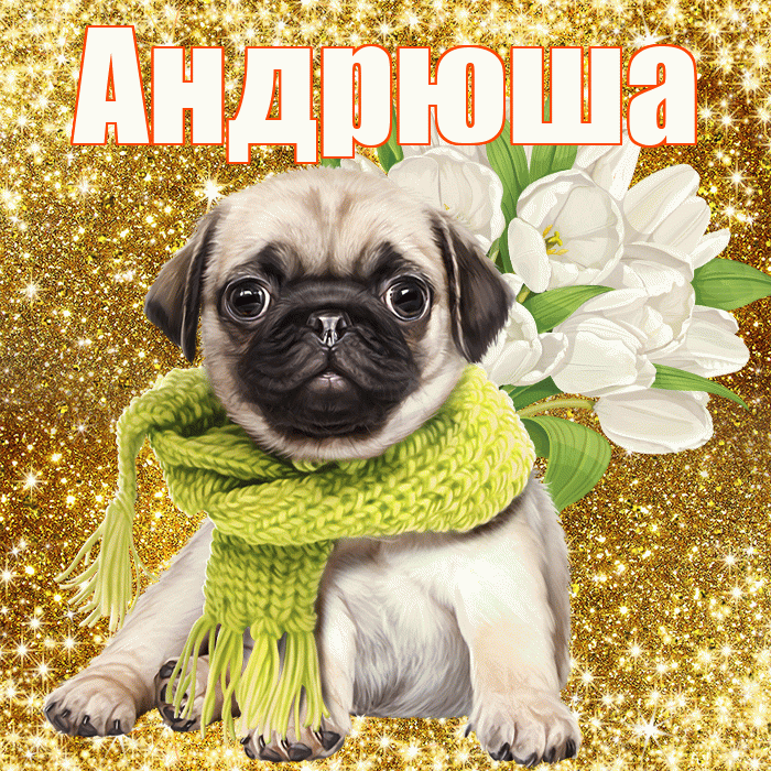 Андрюша! С днём цветов! Красивая открытка !