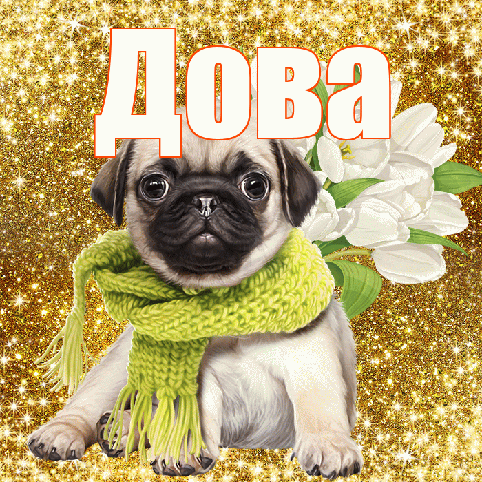 Дова! С днём цветов! Красивая открытка !