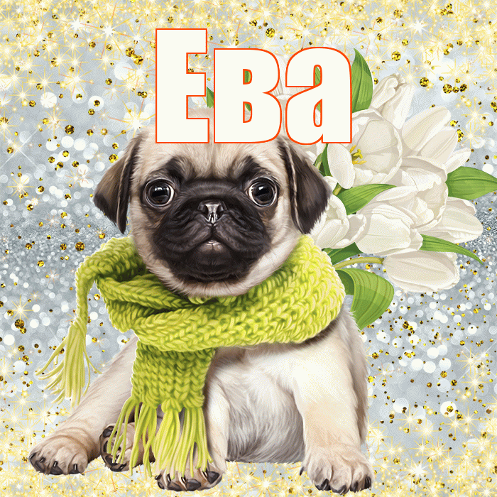 Ева! С днём цветов! Красивая открытка Еве!