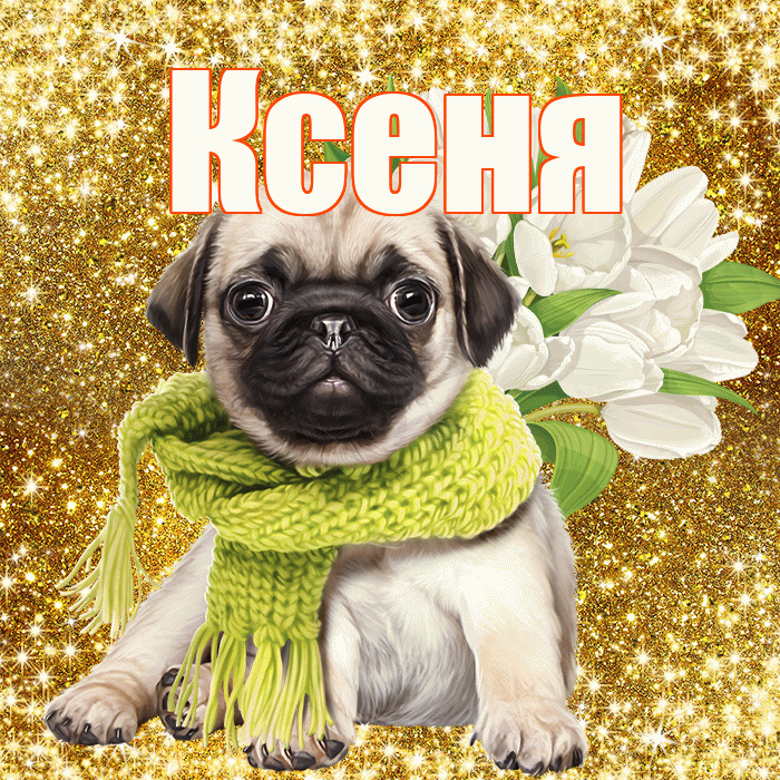 Ксеня! С днём цветов! Красивая открытка !