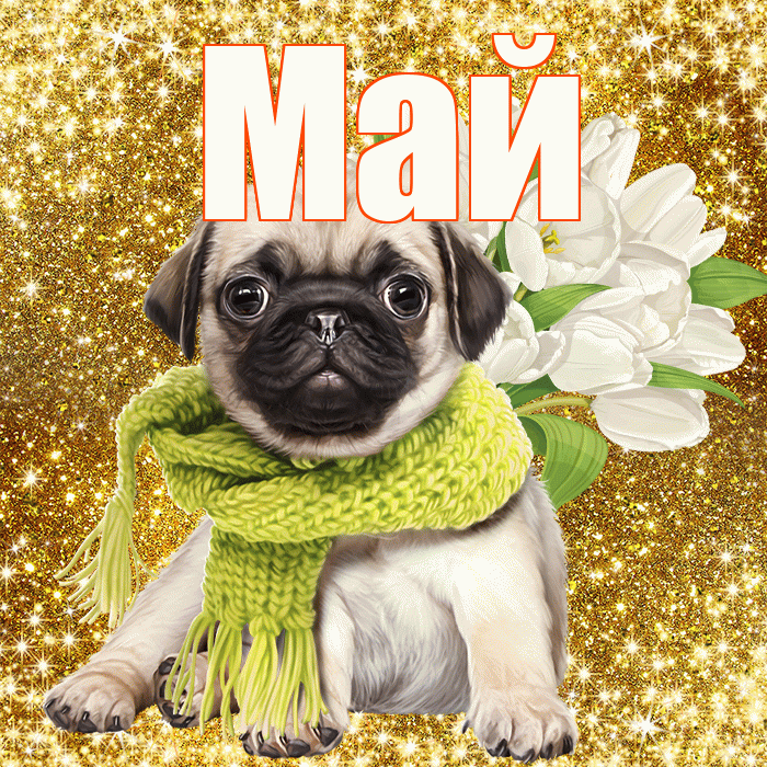 Май! С днём цветов! Красивая открытка Маю!