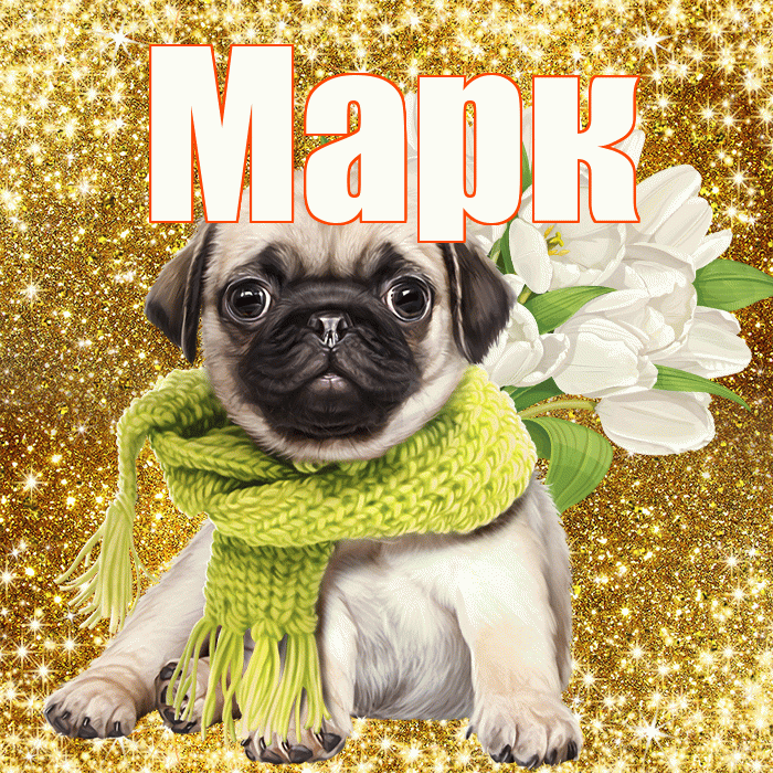 Марк! С днём цветов! Красивая открытка Марку!