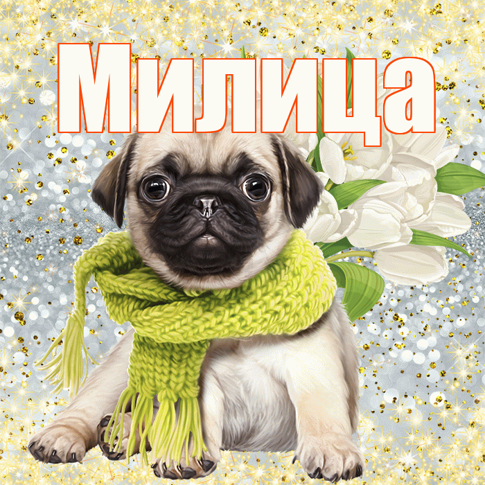 Милица! С днём цветов! Красивая открытка Милице!