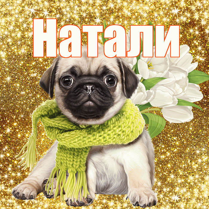 Натали! С днём цветов! Красивая открытка !