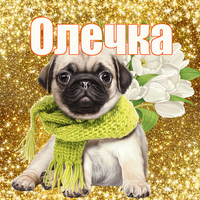 Олечка! С днём цветов! Красивая открытка !